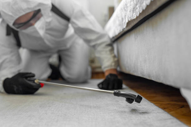 Professional Bed Bug Control technician working in Emporium, PA